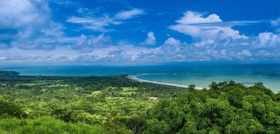 Playa Colonia Uvita, the place